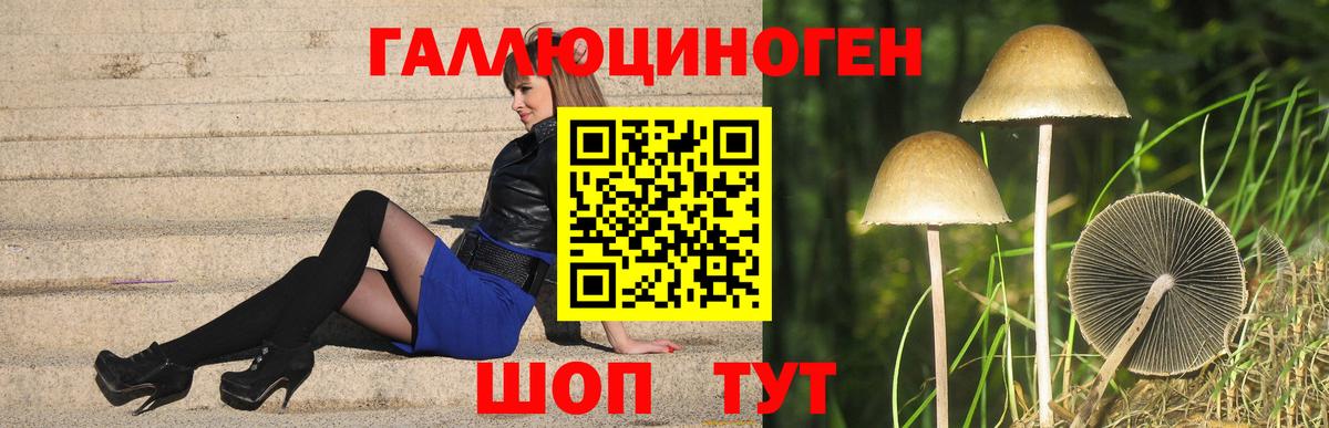 Мелеуз  Псилоцибиновые грибы мицелий  Вход с VPN 